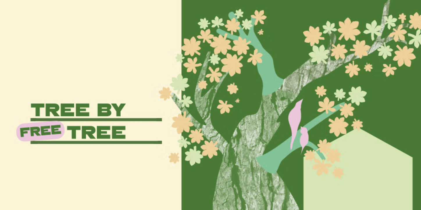 Read more about the article Free Yard Trees for Foster-Powell